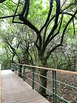 The Conquer online show from April 10, 6:34 pm