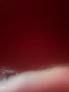 WhiteRose2020 online show from February 24, 6:55 am