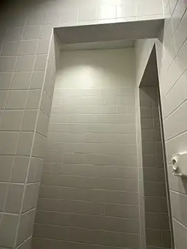 WhiteRose2020 online show from February 26, 5:50 am