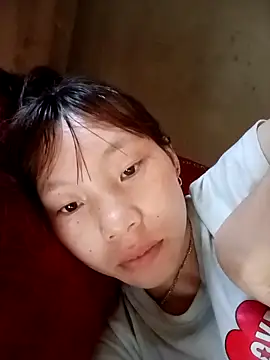 pic8800 online show from April 8, 4:56 am