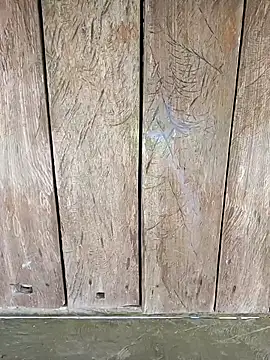 Heylen hooo online show from April 20, 1:41 am