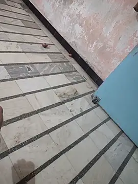 Tamillaxmi12 online show from March 7, 1:08 pm