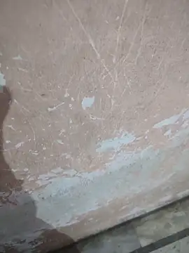 Tamillaxmi12 online show from April 16, 12:44 am