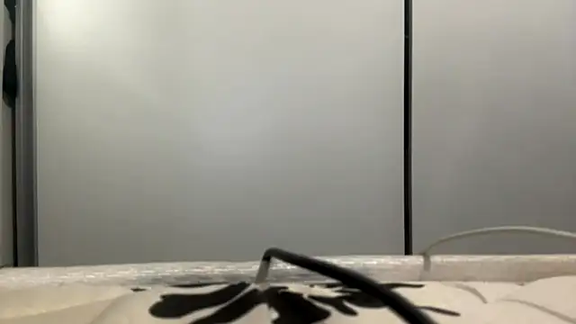 LatoshaLipitz online show from March 6, 4:36 pm