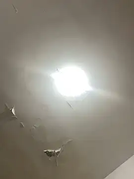 casaldenovinhosy online show from March 7, 1:41 pm