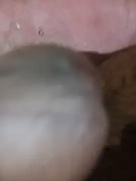 88SHXX online show from March 3, 5:41 pm