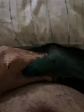 el sfaa7 online show from April 10, 2:55 pm