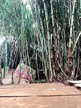 Tini-mimi online show from April 23, 12:45 am