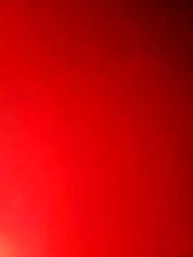 hobgkl online show from March 13, 6:53 am