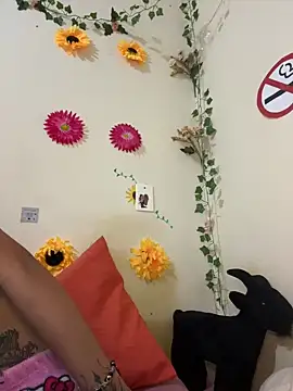 SpidderSecret online show from June 4, 2:28 am