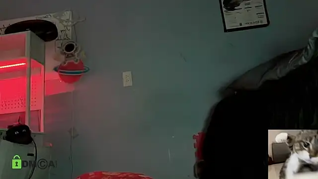 NatryDark online show from May 16, 4:42 am