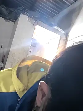 cactoto online show from March 30, 4:19 pm