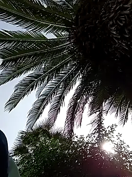 HArry Sk560 online show from April 22, 1:01 pm