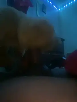 Bigcock127 online show from March 31, 8:37 am