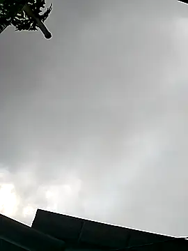 Snapshot of Cute-flowers chatting on March 21, 2:38 am Cute-flowers online show from March 21, 2:38 am