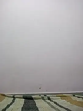 Snapshot of M__Payal__ chatting on March 22, 5:22 am M Payal online show from March 22, 5:22 am