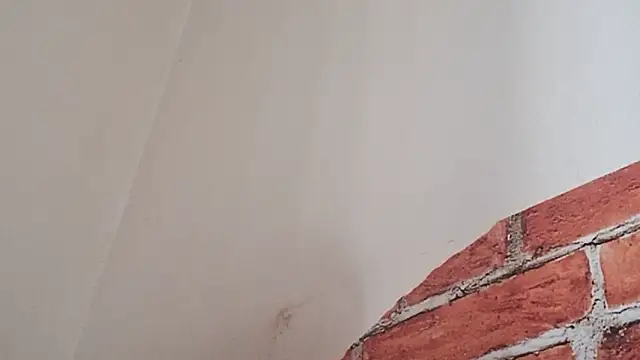 Snapshot of Sueliton2 chatting on March 28, 5:34 pm Sueliton2 online show from March 28, 5:34 pm