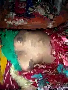 deshi girl 2007 online show from April 16, 8:37 am