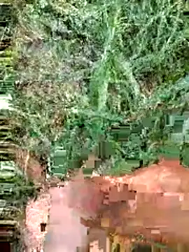 luck00y online show from June 14, 12:29 pm