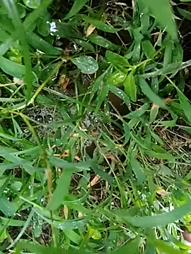 luck00y online show from July 8, 12:59 am
