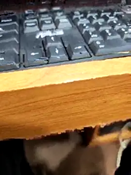 Snapshot of SLBL chatting on March 27, 5:46 am SLBL online show from March 27, 5:46 am