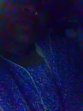 Snapshot of riyaa_sexyy chatting on May 7, 2:17 am riyaa sexyy online show from May 7, 2:17 am