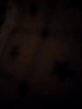  sandy 00 online show from April 19, 6:21 pm