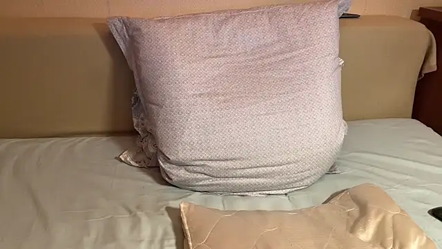 havedream online show from April 20, 10:40 am