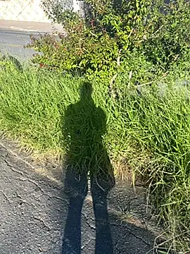 Cs-18 online show from April 20, 6:42 pm