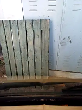 RSRM online show from April 17, 11:46 am