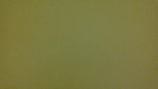 average jack online show from April 16, 11:29 pm