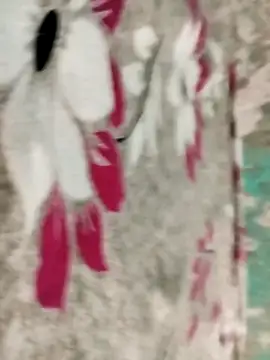 badmasss69 online show from April 16, 10:01 pm