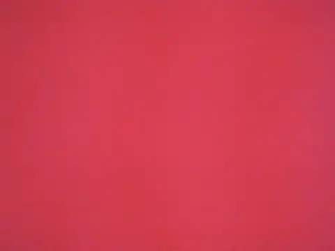 sara sofiamodel online show from April 18, 1:20 am