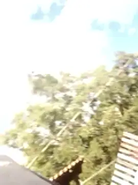 loonelw online show from April 18, 7:51 pm