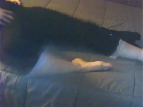 Cuginetti online show from April 27, 8:07 pm