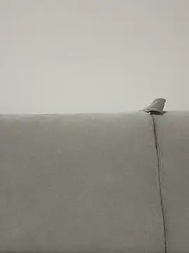 bunnnnyyyyyyyy online show from April 23, 5:48 pm