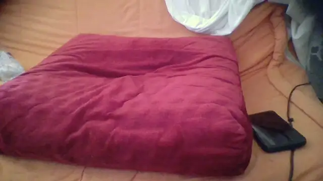 francesc0001 online show from April 23, 8:13 am