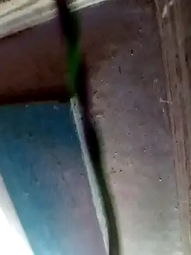 UrS hottty online show from April 29, 1:15 pm