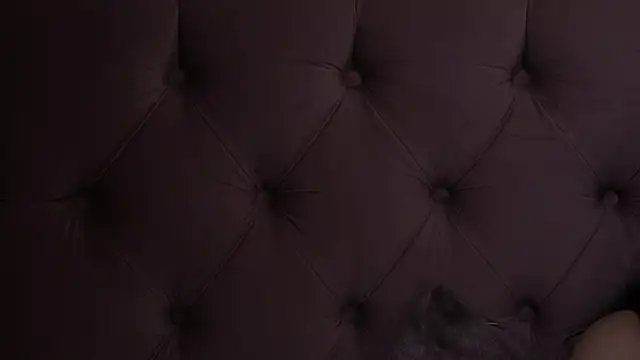 AntoniaCapri online show from April 30, 7:20 pm