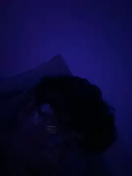 OoRobertooo online show from May 1, 3:55 am