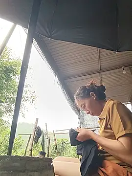 Jinli 01 online show from July 16, 7:58 am