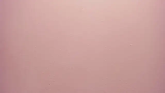 Snapshot of _anais_rose_ chatting on May 30, 12:24 pm anais rose online show from May 30, 12:24 pm