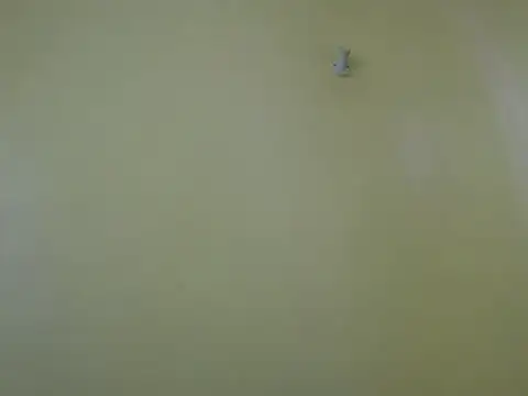 Snapshot of Cuteebony16 chatting on June 20, 1:03 pm Cuteebony16 online show from June 20, 1:03 pm