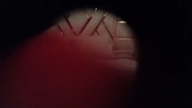 Snapshot of kellygrace_vg chatting on June 28, 3:01 am kellygrace vg online show from June 28, 3:01 am