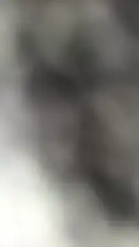 Snapshot of languste25 chatting on July 9, 12:09 pm languste25 online show from July 9, 12:09 pm