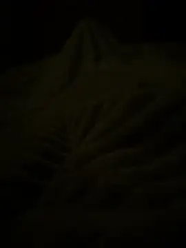 Pierre20cm21ans online show from July 27, 1:12 am