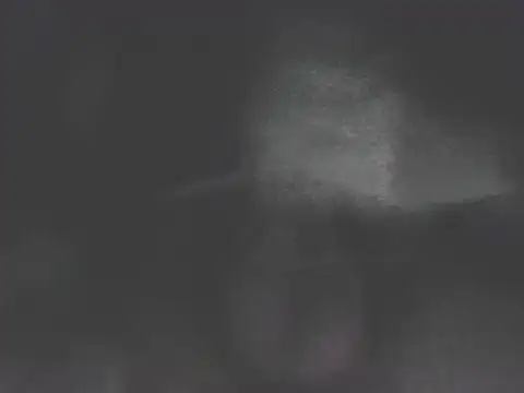 nicobboy22 online show from June 17, 4:59 am