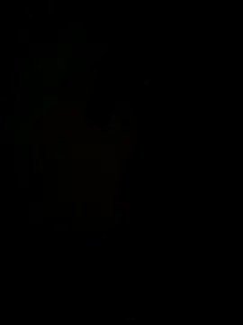 Snapshot of hook9sex chatting on June 11, 4:54 am hook9sex online show from June 11, 4:54 am