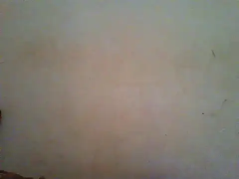Snapshot of HomeBully chatting on June 27, 8:08 am HomeBully online show from June 27, 8:08 am