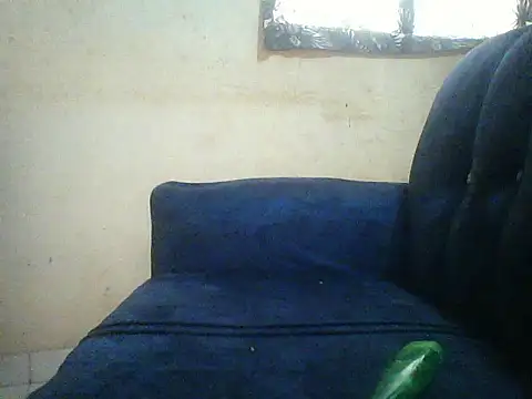 Snapshot of HomeBully chatting on July 8, 12:09 pm HomeBully online show from July 8, 12:09 pm